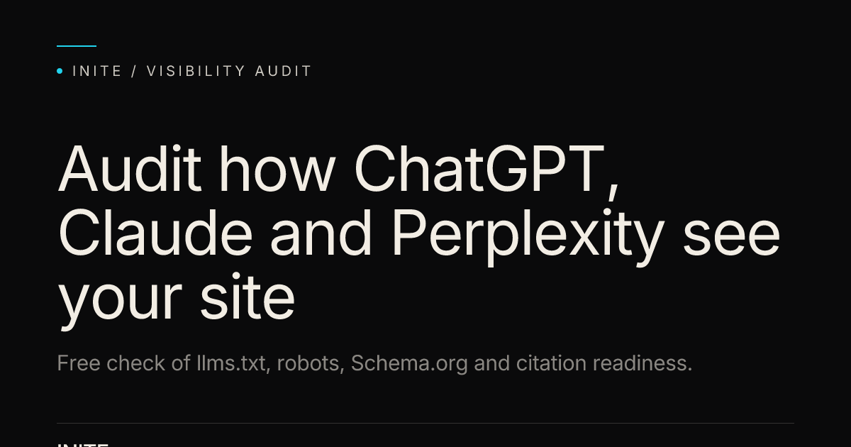 AI Visibility Audit