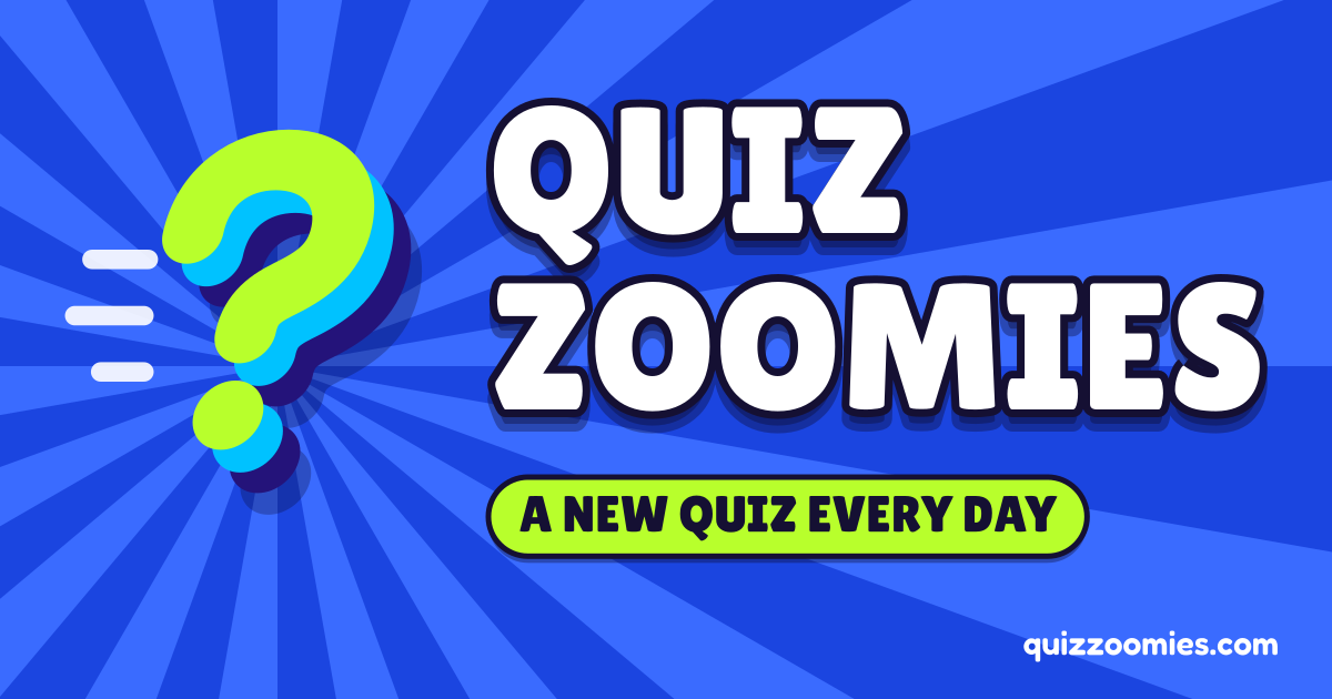 Quiz Zoomies