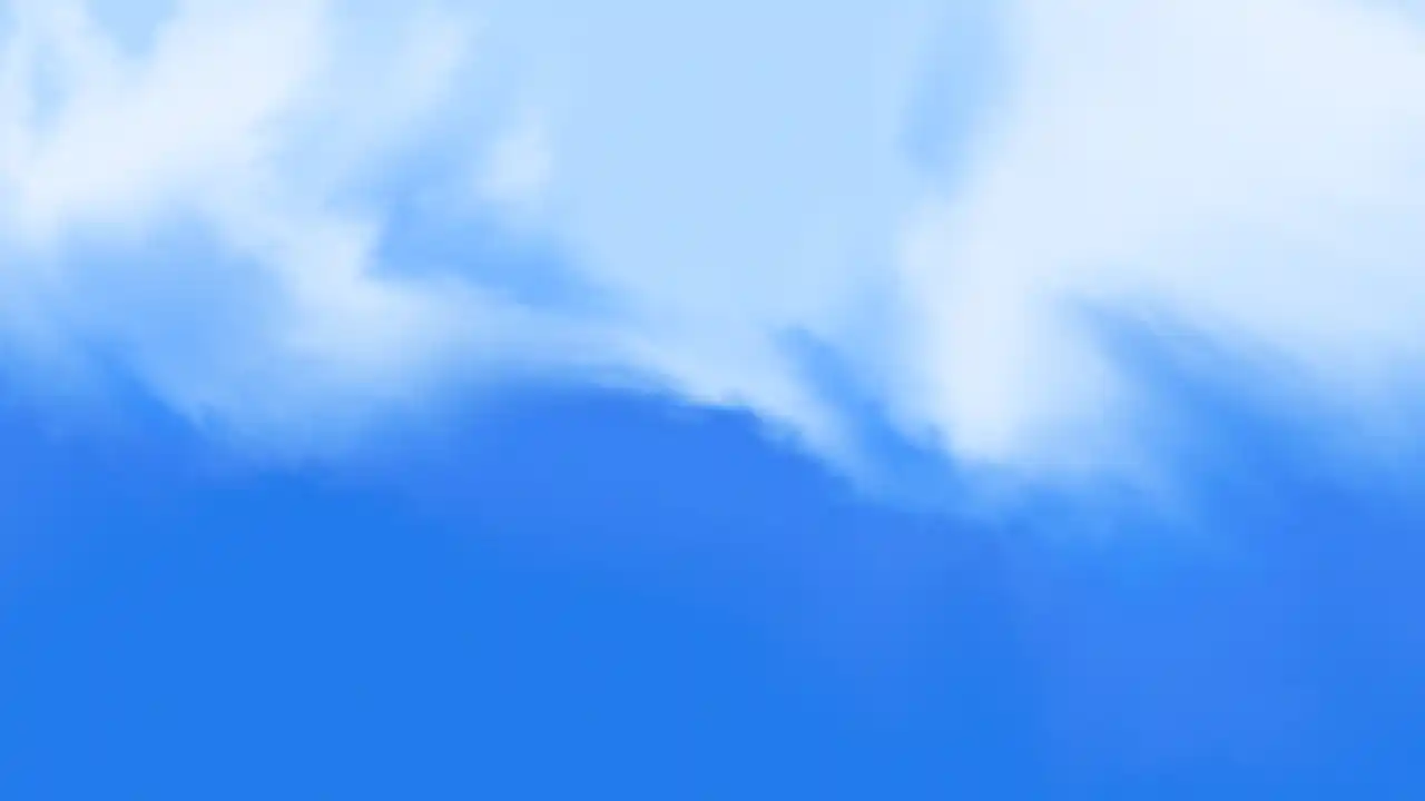 Vestigo