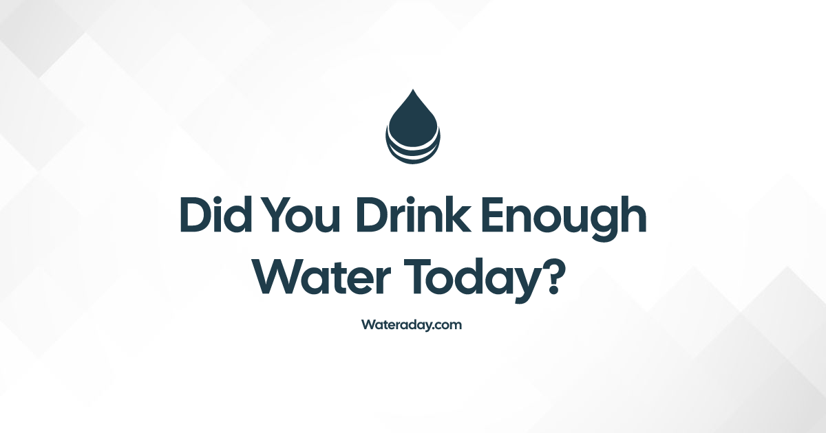Water a Day